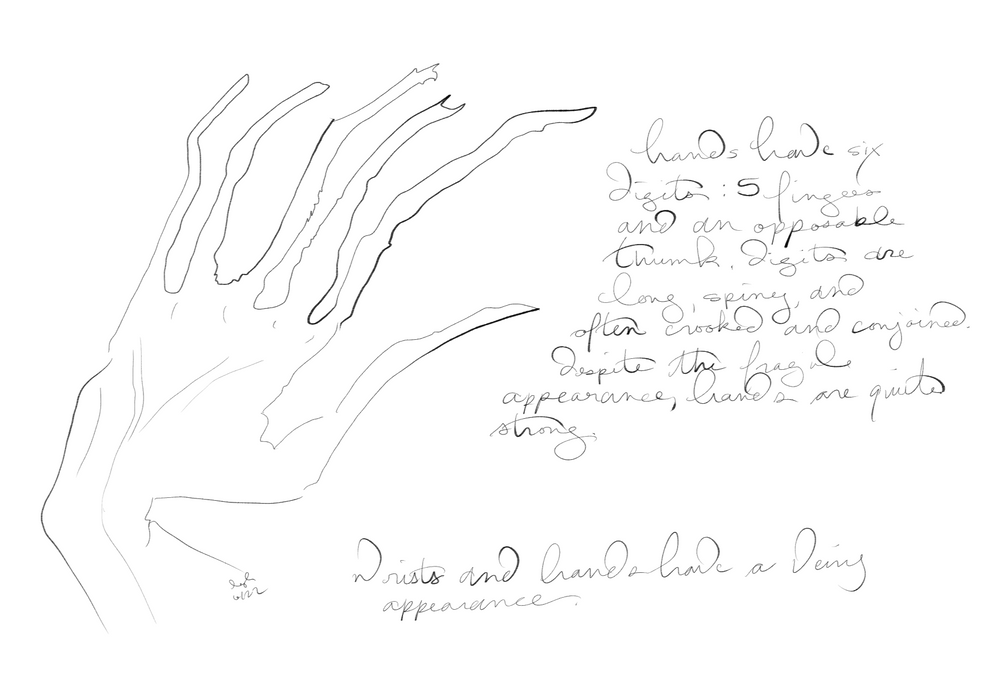 Drawing