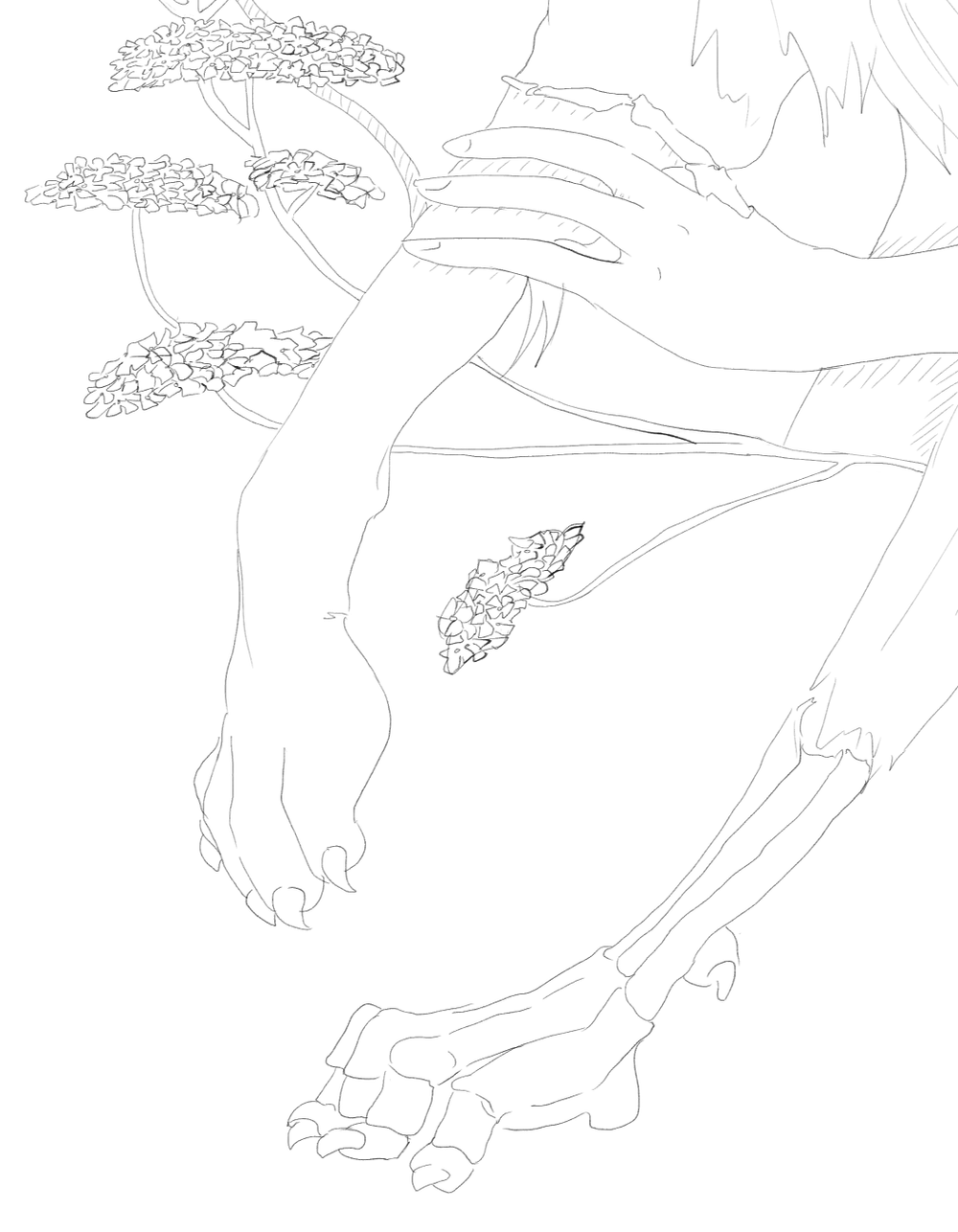 Drawing